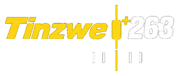 Tinzwe +263